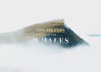 The Islands and The Whales