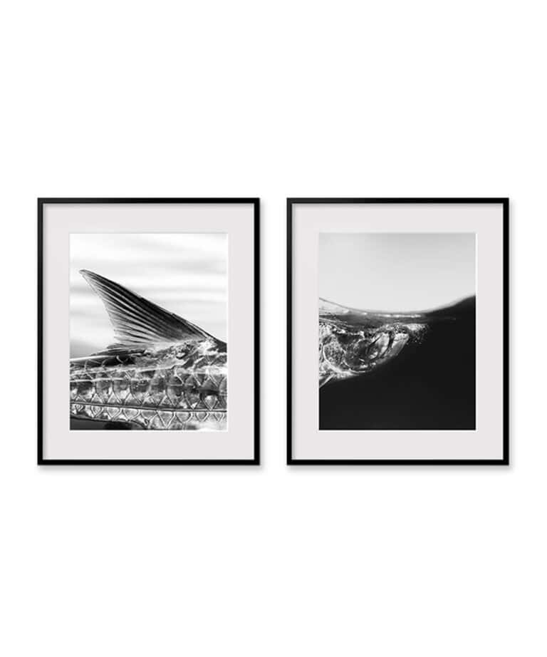 Below/Above by Austin Coit