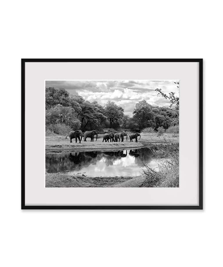 Ruaha River Reflection by Tyler Sharp