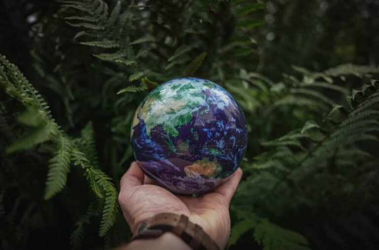 Earth Globe held in hand surrounded by lush green vegetation emphasizing conservation and environmental awareness.