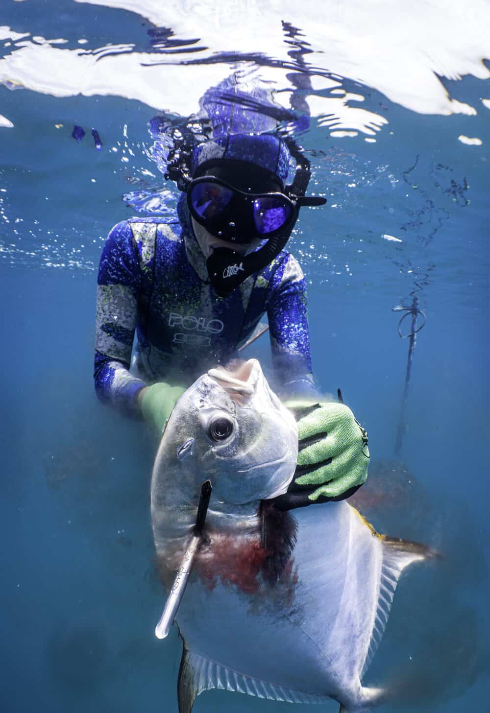 Spearfishing for GIANT Grouper In Ocean!! (Dangerous shot)