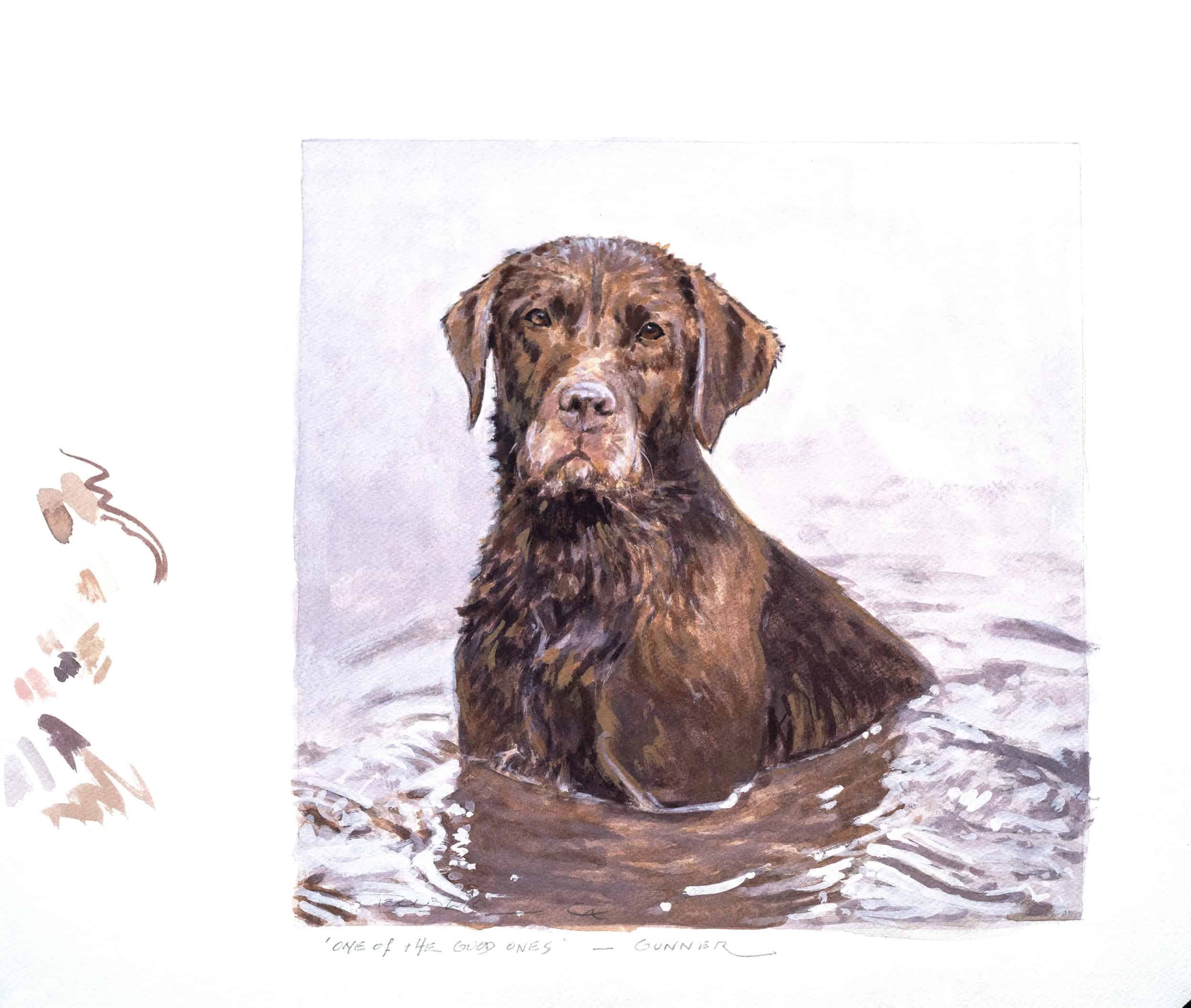 Beautiful brown hunting dog in water, illustrating connection with nature and hunting tradition.