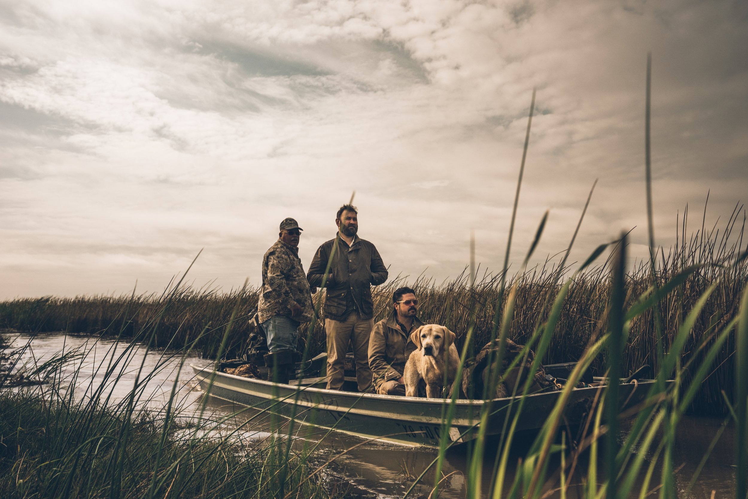 Boat with three men and one dog drifts through reeds. 