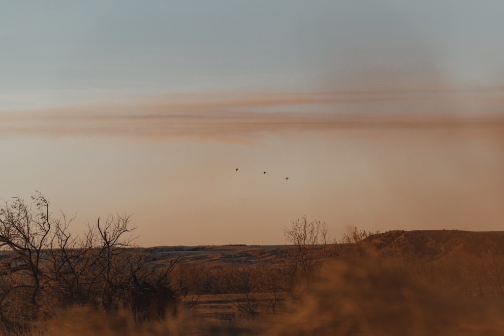 North Platte at dawn