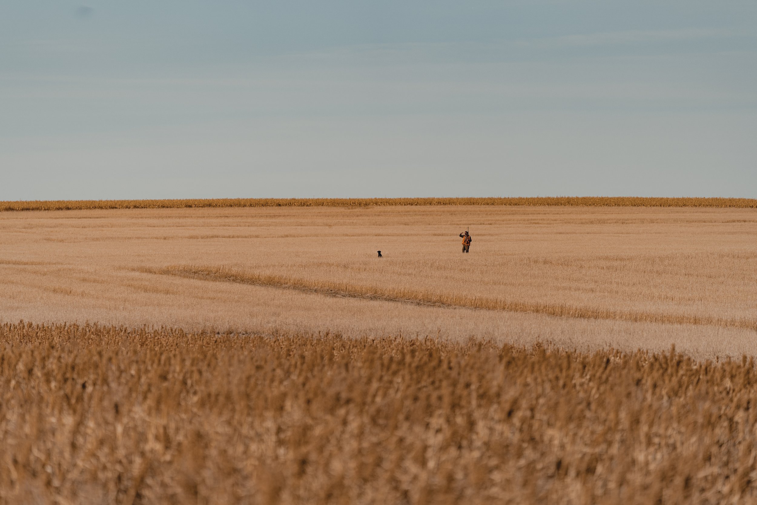 Hunter and dog in a Nebraska field