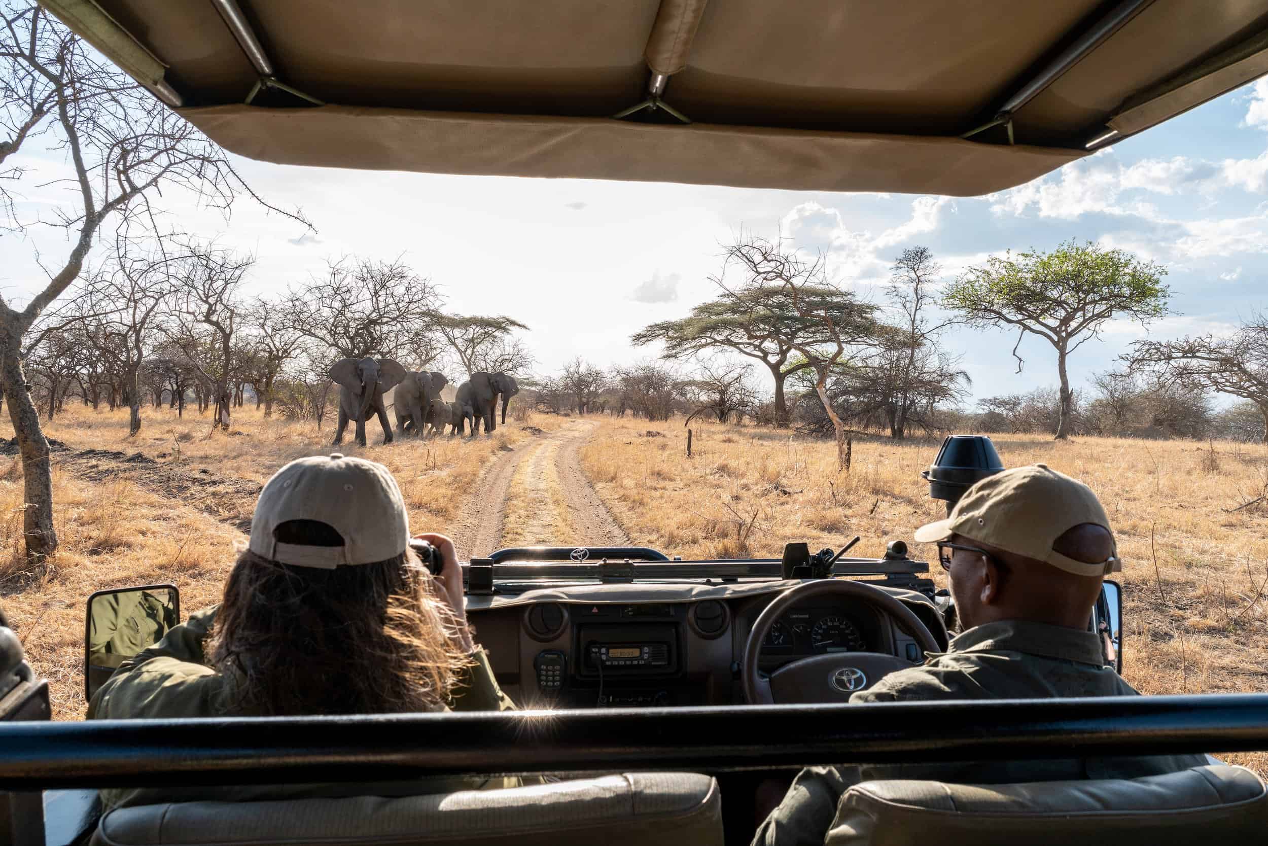 Two people sit in safari vehicle while one looks through binoculars at African elephants.  
