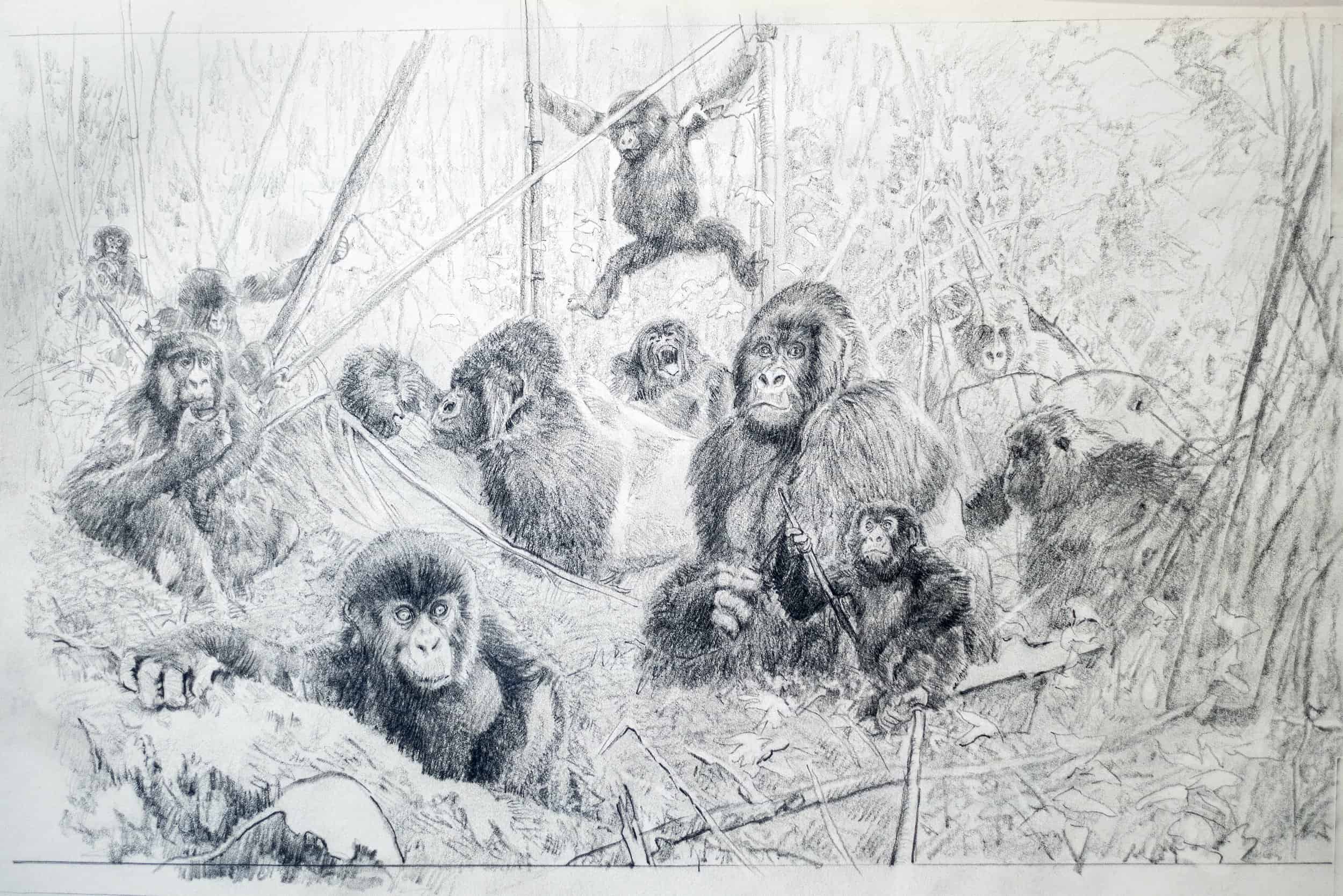 Black and white rough draft of John Banovich's painting of gorillas in jungle