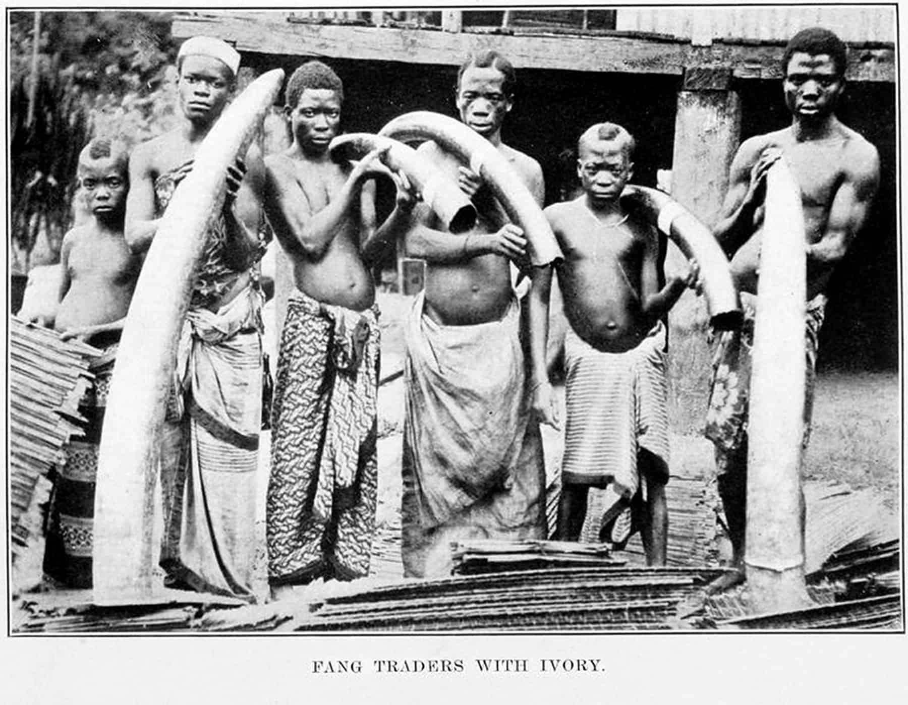 Old photo of ivory traders in Africa holding tusks over their shoulders.