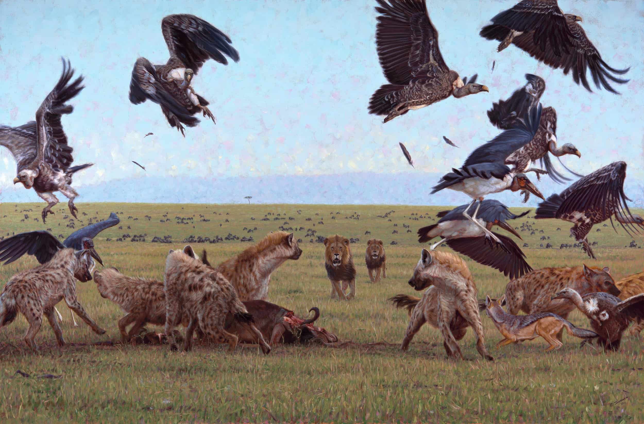 Painting by John Banovich of lions approaching a dead buffalo on the savannah while buzzards and hyenas scatter. 