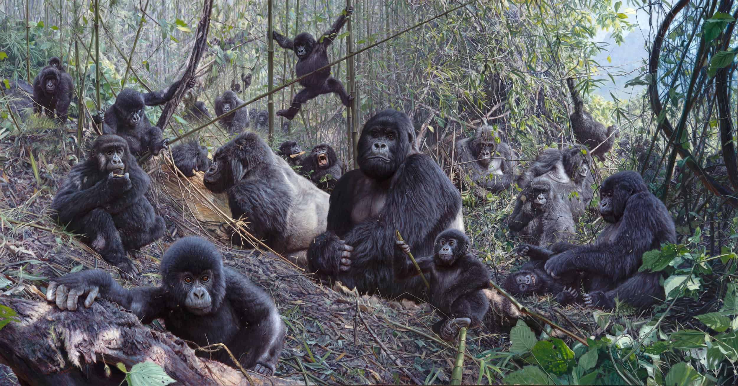 Painting by John Banovich of gorillas living together in jungle