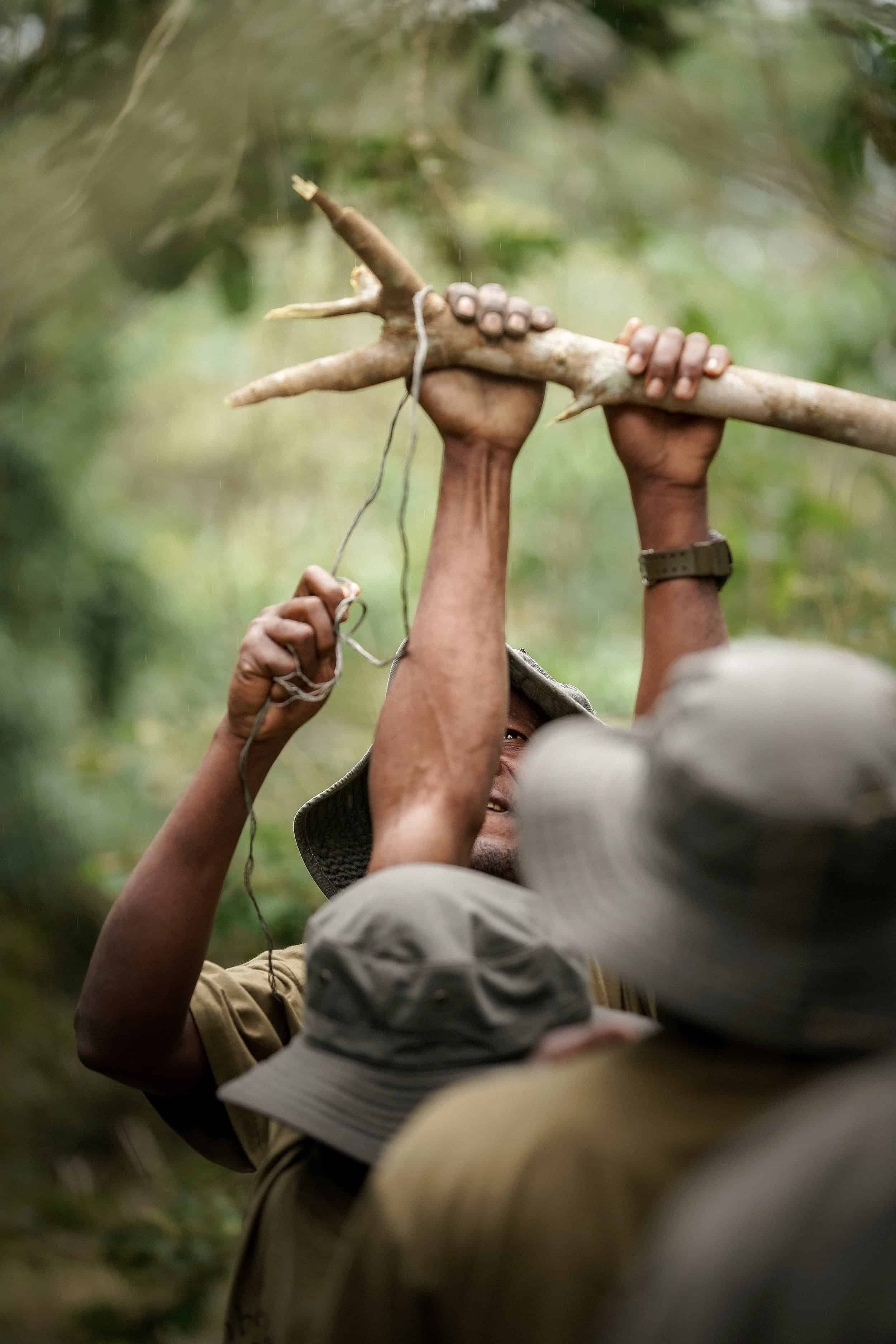 Men hold on to branch in jungle to remove tension snare