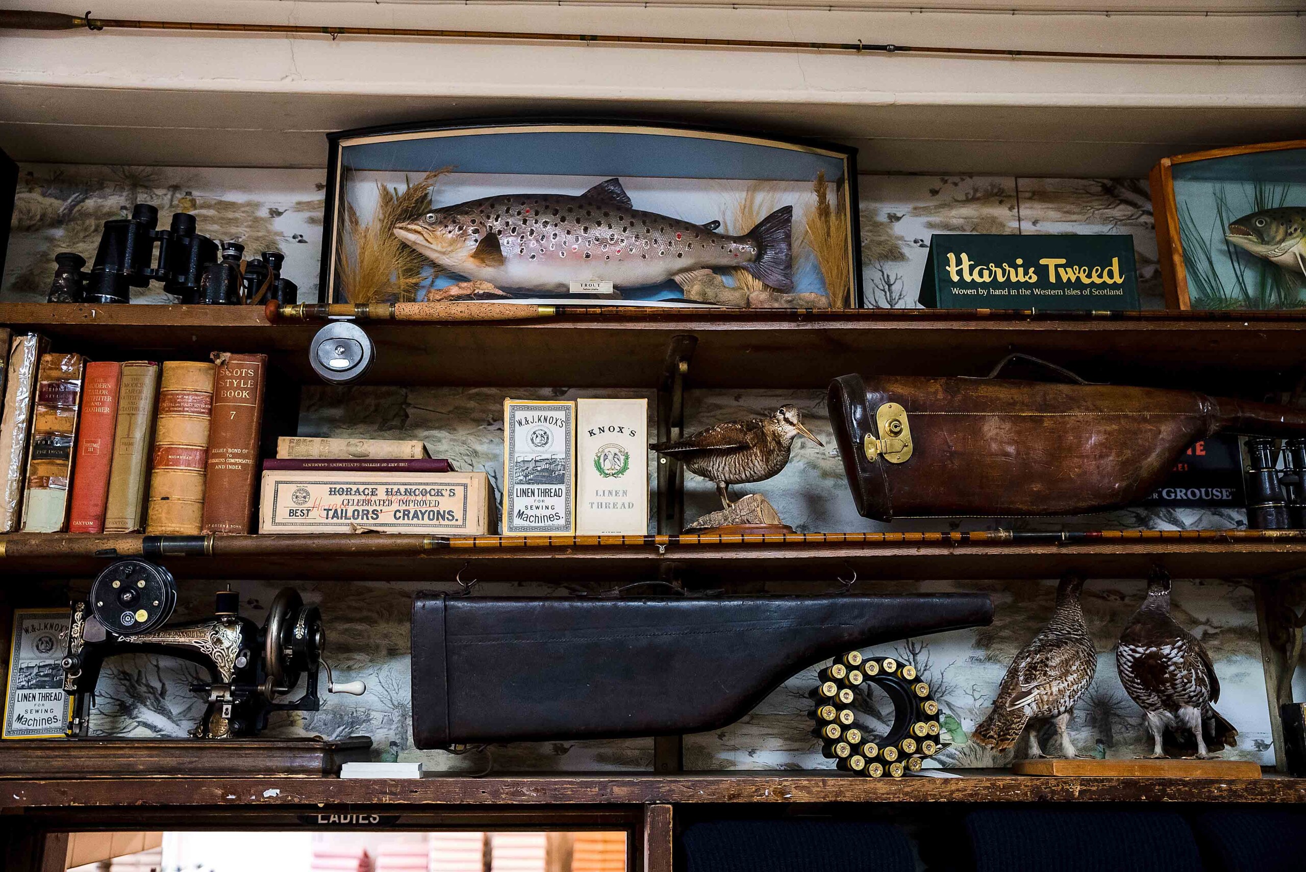 interior shot of taxidermy and hunting antiques at the Campbells of Beauly shop in Scotland 