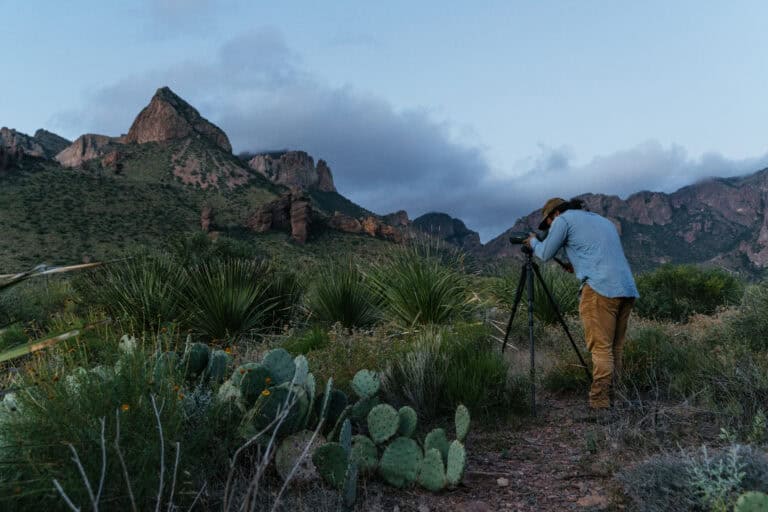 documentary following wildlife cinematographer Austin Alvarado