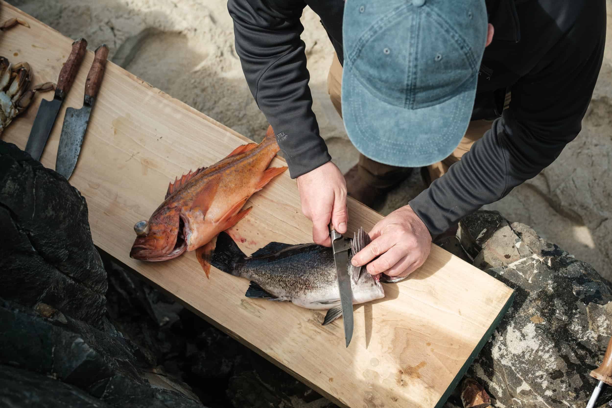 Filleting rockfish on the beach for a lunch soon after.