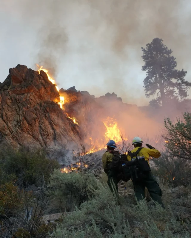 “We dam rivers and we suppress fires, and yet we pine for moments in places like the Middle Fork where wilderness is allowed to express itself.”
 
In Modern Huntsman Volume 10, “Fire and Fear on The Middle Fork,” Amanda Monthei (@a_monthei) writes of firefighting with awe and fear, then returning years later to witness renewal on the same ground. What began as a lesson in survival became a reflection on fire’s role in the landscape and in our own reckoning with wilderness.
 
This story also reminds us of the continual sacrifices that firefighters and first responders make on a daily basis as well as those who have made the ultimate sacrifice in the past. Thank you for what you do, you are not forgotten.
 
Words by: @a_monthei
Photos by: @lapescadora

#outdoors #fishing #wild