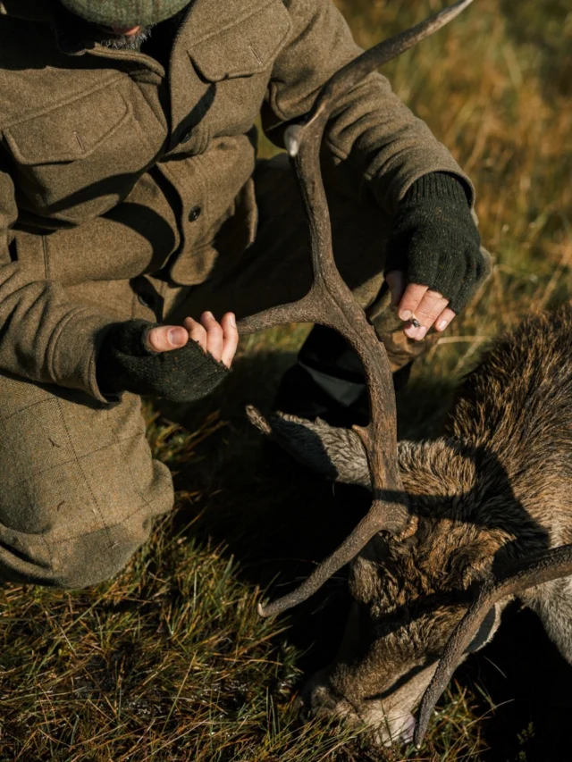 Join us for another trip in the Scottish Highlands from September 20–27, 2026.

A week of stalking red stags in the rut, casting for Atlantic salmon and brown trout in cold Highland streams, walking the hills, sharing wild game meals, and ending each day with whisky and stories by the fire.

We’ll stay in a historic Victorian stone lodge set among striking mountains and tumbling water, a place that feels unchanged by time.

This is an experience we host annually and truly is unforgettable. Reserve your place at the link in bio.

Photos by @southwes