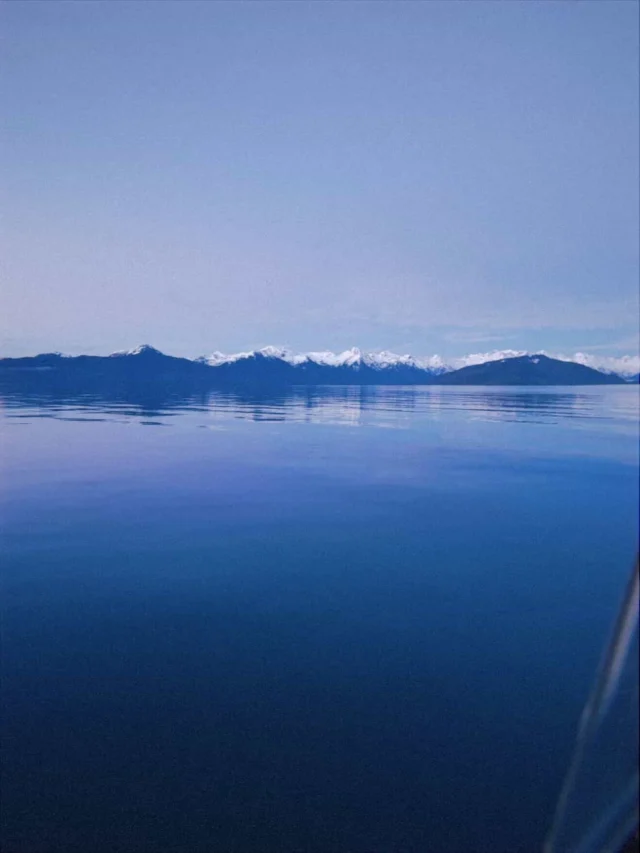 We caught up with our friend and contributor Nelly from @driftersfish to see how things were going this winter. 

Her response and attached photos felt worth sharing, “It’s cold winter in Alaska, but I’m already deep in the planning and prep for my upcoming fishing season. I’ve been down at the boat every day working through projects and repairs to get ready to head back out on the ocean for the summer. Lately, I’ve also been working on an upcoming dinner series in Seattle where I’ll be working with local chefs to share my wild caught salmon and spot prawn harvest. I sell the fish I catch myself directly to chefs and home cooks and I’m really looking forward to seeing the creativity these chefs bring to these wild seafood ingredients.” 

You can catch some of Nelly’s recipes in the Modern Huntsman Cookbook.