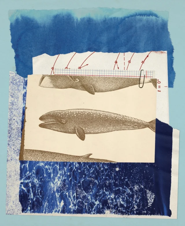 Memory takes shape in strange places. A jawbone arch on a beach in Utqiaġvik. Bands of light and dark stacked inside a whale’s ear. The curl of a ram’s horn.In Chandra Brown’s essay “The Shape of Memory,” a daughter tries to hold onto her father as his memory dissolves, tracing the same spiral through whale biology, arctic ice, and the long silences between people who love each other from a distance.Read it in Volume 16. Link in bio.Words by Chandra Brown Illustrations by Pádraig Croke (@padraigcroke)