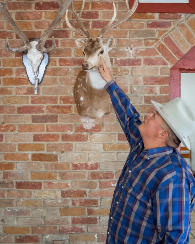 “A hunter would come in with a whole frozen bobcat, and Senior would sketch the animal in a pose. Then, he’d partially defrost the bobcat, maneuver it into the pose, refreeze it in that pose, then cast it in plaster. Bobcats, they’re like people. They’re all different. Heads, necks, legs, torsos, ears. Yeah, they’re all a little alike, but they’re all different.” — Alex MartinezIn “A Third-Generation Taxidermist and Sixth-Generation Texan Knows a Few Things About Keeping the Old Ways Alive,” writer Katie Hill (@katiehillschurg) profiles Alex Martinez, holding down one of South Austin’s oldest family businesses. Read the full story in Modern Huntsman Volume 13.Words by: @katiehillschurgPhotos by: @southwes