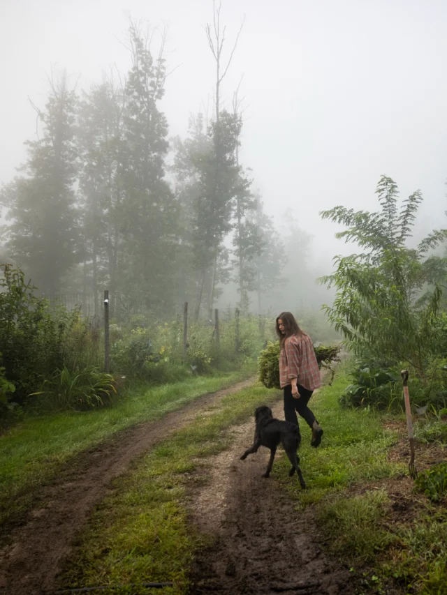 “These two things have never been separate: the seed and the story.”In Modern Huntsman Volume 10, Jenna Rozelle (@jennarozelle) traces her years as a forager and wild foods teacher back to a childhood ritual of cracking wild hazelnuts on her best friend’s farm. The essay follows her from that hazel thicket to Thickery Pricket Farm, the nursery she now runs in Parsonsfield, Maine, and the Self-Seeding Project, where she collects seeds alongside the stories attached to them.Subscribe to Modern Huntsman to read stories like these, biannually. Link in bio.Words by: Jenna Rozelle (@jennarozelle)Photography by: Little Outdoor Giants (@giantgiantgiants)