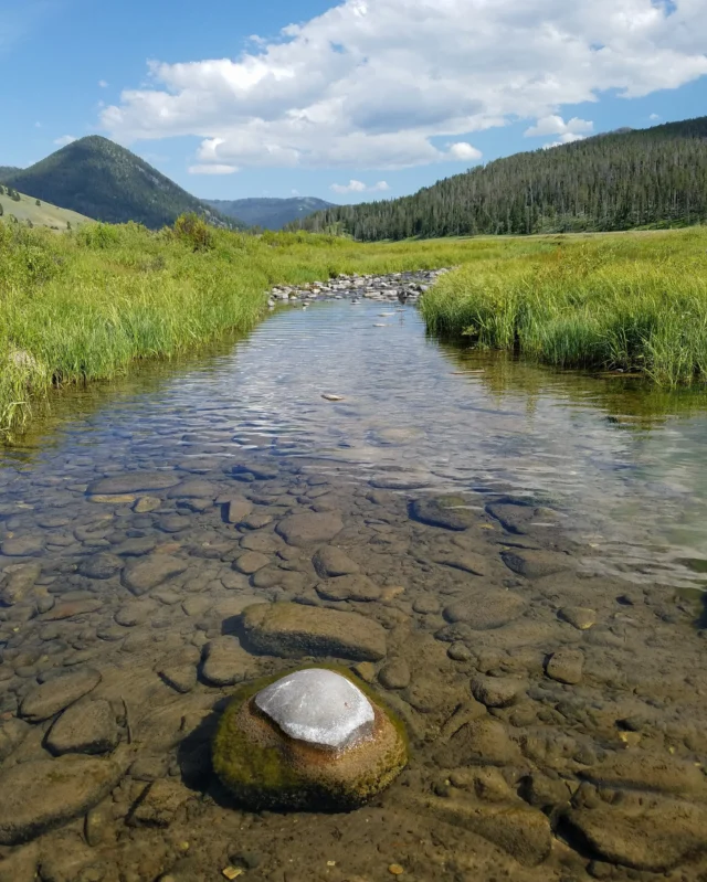 “The dog days of summer: I must confess I don’t hate them. But this is due in large part to the freestone creek that runs several blocks from our house. The creek spills cold out of a vast wilderness area to the north of us and runs hard for the Clark Fork, but not before it holes up along the way in a few places, a few delicious spots if you believe, as I do, that an icy dunk at the end of a sweltering workday can rinse clean the dusty windshield of the mind. Emerging oneself in a good essay or story can produce the same results as a breath-seizing dip in the creek, and I’m proud to say that our upcoming issue of Modern Huntsman has good work galore.”Words by Modern Huntsman Editorial Director, Chris Dombrowski (@dombrowski_chris).Volume 17 is coming soon. Subscribe to receive it at your door. We’ll be revealing the new cover soon, so this is one of the last weeks to receive Volume 16 with a new subscription. Photo by: Morgan Marks