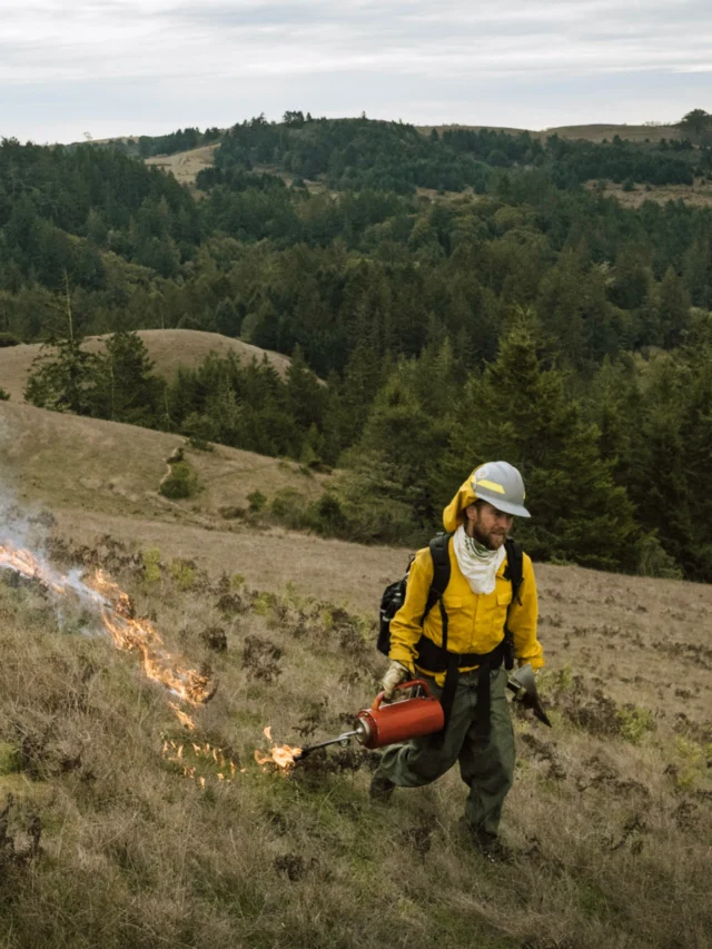 “That’s the part I want to see—that we go from perceived competitors of a scarce resource, hunting over who’s going to get the nice buck or the grouse, to then being cooperators of abundance. We can all fill our tags.”Frank Lake is a Forest Service research ecologist and former habitat fisheries biologist, and a Karuk descendant raised in Northwest California.As another hard fire season moves across the West, this feature looks at what Indigenous communities have long understood about living with fire. In Modern Huntsman Volume 7, Lindsey Davis traces the work of three experts in fisheries biology, traditional ecological knowledge and fire ecology, and how Indigenous fire management shapes the health of the landscape, and why you can’t restore salmon until you restore fire.Words by: Lindsey Davis (@lindsey.browne.davis)Photography by: Sashwa Burrous (@sashwaburrous)Presented by: Mystery Ranch (@mysteryranch)