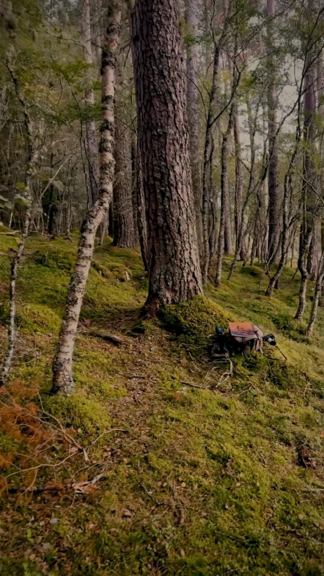 The elk is on the move.Volume 17 made its way to the Scottish Highlands this past week during our annual Scotland experience, where guests hunted red stags and fished Highland streams.Thank you to all the readers who have supported this effort. If you haven’t subscribed yet, you can do so at the link in our bio.