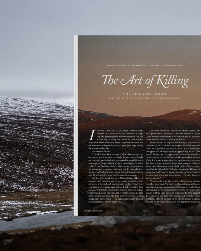 “I find myself a troubled hypocrite without an answer. The sight of a fox will always have me reaching for the rifle, but the pang of regret when I lift the carcass from the heather grows heavier every time.”In Modern Huntsman Volume 17, gamekeeper Sam Thompson (@realsamthompson) continues “The Art of Killing,” part two of a life as a Scottish Highlands gamekeeper. This time the subject is the fox, the red gentleman, and the predator control that, alongside habitat work, drives a keeper’s year outside stalking season.Read the full story in MH V17. Words by: @realsamthompsonPhotography by: @southwes